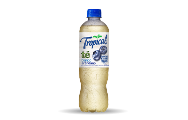 BEBIDA TE BLANCO 500ml